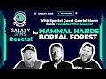 Capture de la vidéo Mammal Hands - Boreal Forest | Galaxy Jams Reacts With Special Guest Gabriel Marin