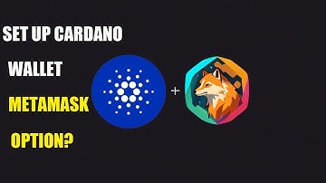 How to set up Cardano Wallet(Metamask support cardano?)