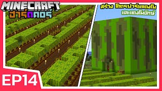 โคตรฟาร์มแตงโม และ แตงโมยักษ์ | Minecraft ฮาร์ดคอร์ 1.17 (EP14)