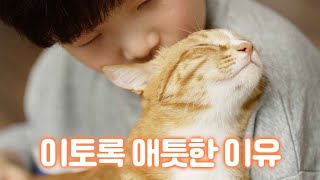 All cat butlers should learn from this 12-year-old boyㅣMeow-chul's Home Visit Ep.Oreo Cheese