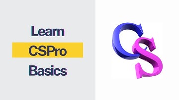 Introduction to CSPro: Learn the Basics of Data Entry and Processing