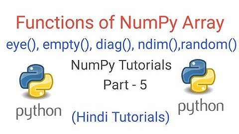 Functions of NumPy Array||Practical explanation in Hindi||Class 12th IP||Preeti Arora Book (ndarray)