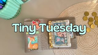 Tiny Tuesday 