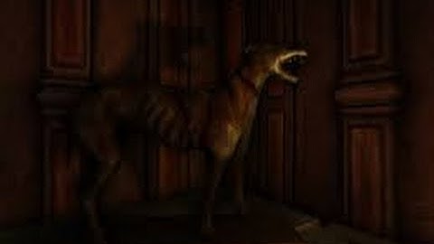 Amnesia The Dark Descent Playthrough Part 8