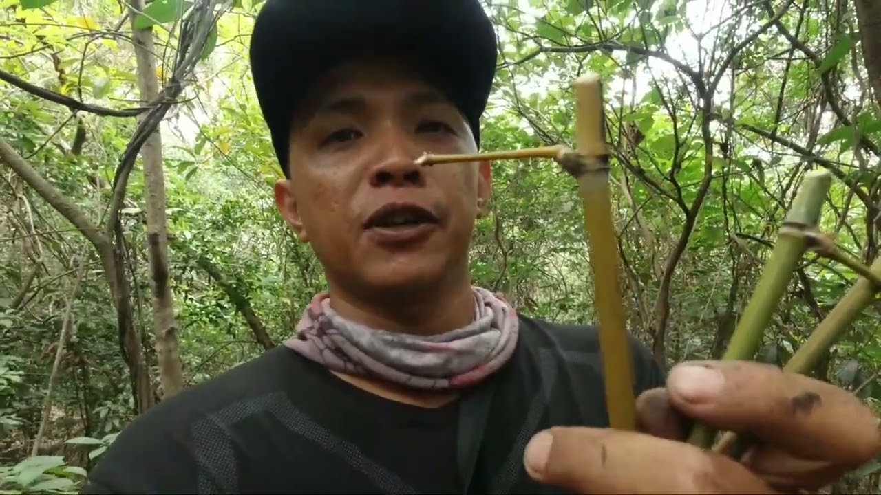 kakagawa lang naka huli agad! effective trap for wild chicken (labuyo)