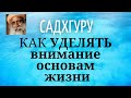 Садхгуру - УДЕЛЯЙ внимание основам жизни