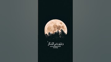 آيات من سورة آل عمران بصوت الشيخ ماهر المعيقلي || #اكسبلور #قرآن