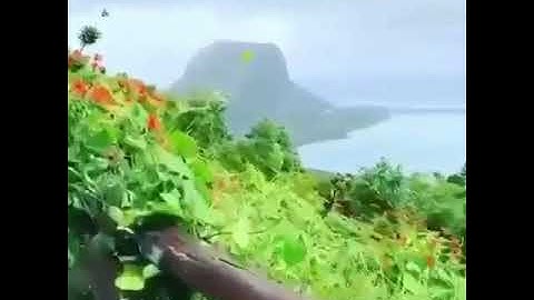 أواخر سورة غافر ، صلاة العشاء ليوم السبت 28 نوفمبر 2020 ، القارئ/ محمد إبراهيم