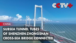 Subsea Tunnel Tubes of Shenzhen-Zhongshan Cross-Sea Bridge Connected