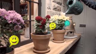 Daisy Sensor and App make caring for your plants fun! screenshot 5