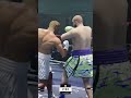 Undisputed #gaming #videogames #shorts #foryou #fyp #viral #trending #undisputed #boxing #knockout
