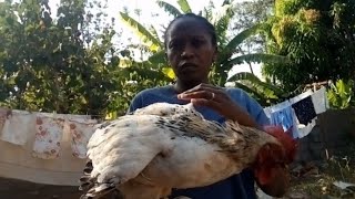 African Village Lifehow Women Slaughter Butcher Cock Chicken 