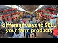 small farm marketing: sales outlet ideas for small farms