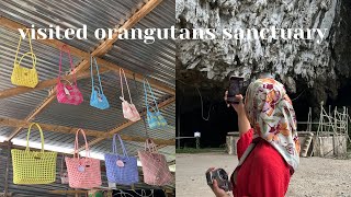 orangutans sanctuary + shopping at serikin | kuching vlog