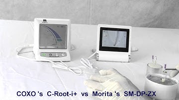 COXO C-Root i+ vs Morita Sm-dp-zx
