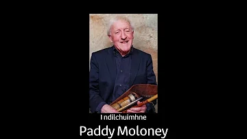 I ndilchuimhne Paddy Moloney (1938 - 2021) - The Chieftains | Geantraí na Nollag 2001 | TG4 |