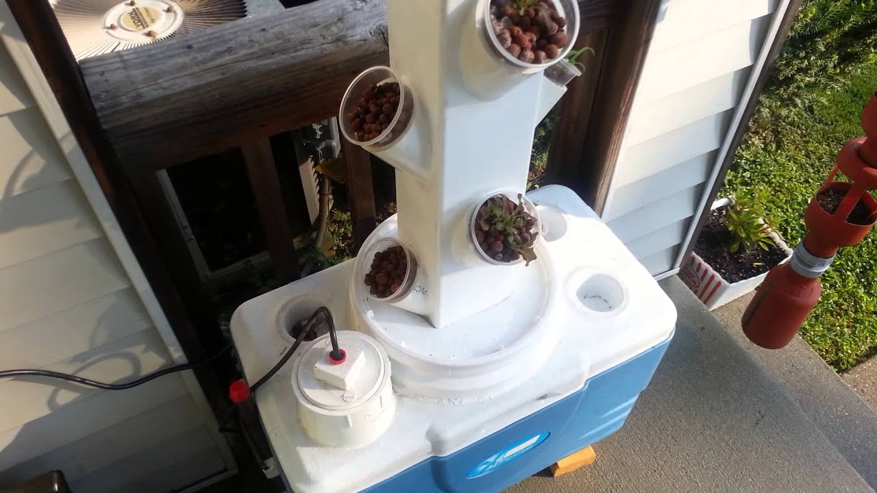 Hydroponic garden tower update week 2 - YouTube