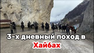 Конный Поход в Хайбах: Чеченцы, Горы и Вековые Традиции!