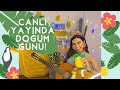 Canlı Yayın: Doğum Günü Partisi! | Hepiniz Davetlisiniz - Live With Sib