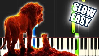 Can You Feel The Love - The Lion King 2019 | SLOW EASY PIANO TUTORIAL + SHEET MUSIC by Betacustic chords