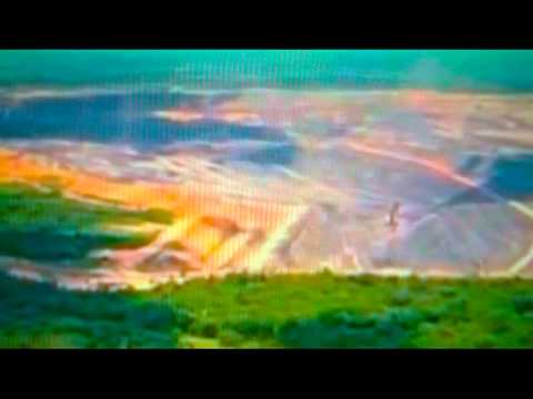 Ricardo Villalobos - Humusweg (Cocoon)