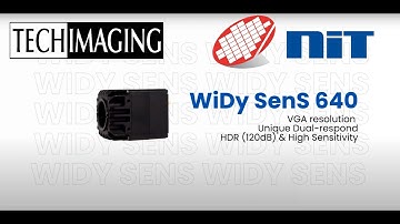 The NIT WiDy SenS 640 SWIR camera.  High sensitivity and  High Dynamic Range in a SWIR camera
