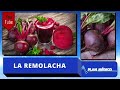 Mira los increíbles beneficios de La remolacha | Plan Medico