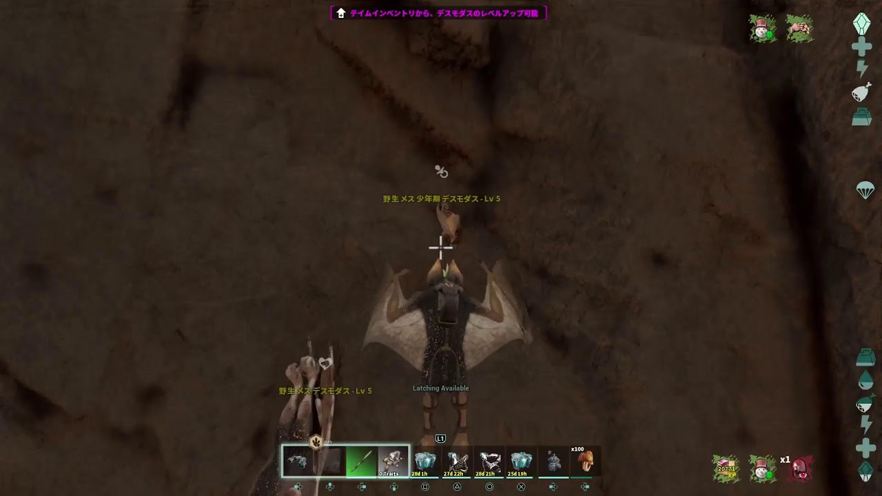 ASA[PS5公式PVE] ちょいとロスコロ 