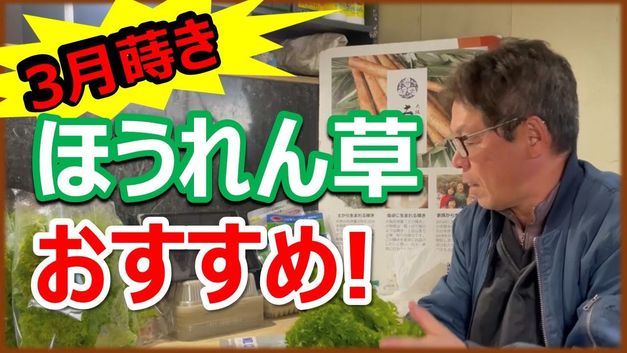 小さい農家の直売所対策　3月蒔きほうれん草をおすすめする理由
