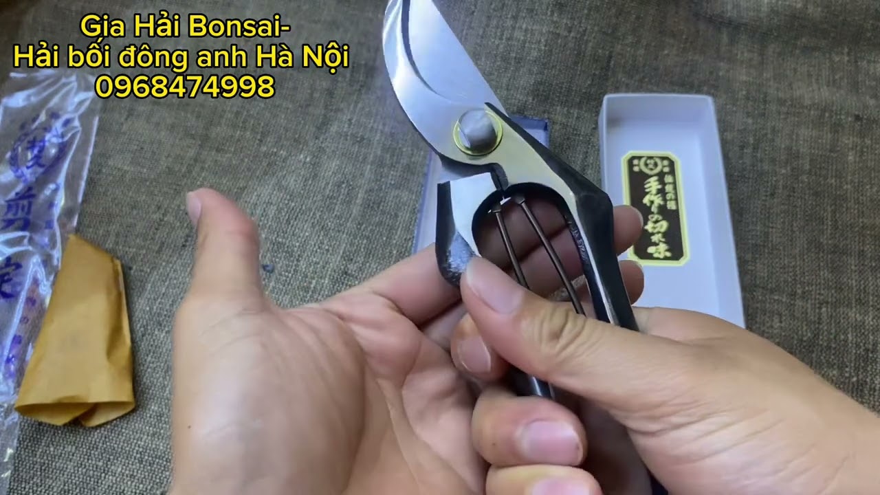 Kéo chữ A bông lúa Nội địa Nhật bản #Gia Hải bonsai