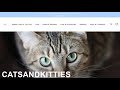 Is cats n kitties a scam a review of catsnkittiescom