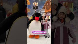 Cücüke Karne Hediyesi