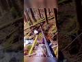 Three Shot One Perfect Kill Forest DeerHunt#hunting#harehunting#deerhunt#hunthowdown#huntgear
