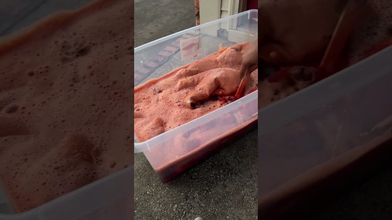 DIY Rug Transformation | Rug Dye | Dyeing fabric at home