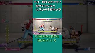 テリーの狙いを1本にまとめた紹介｜近づいて投げ、投げたら ドライブラッシュ 立ち強P