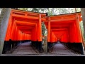 Vermilion of japan  fusimi shrine