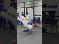 외깃 업어치기 One sleeve Seoi nage