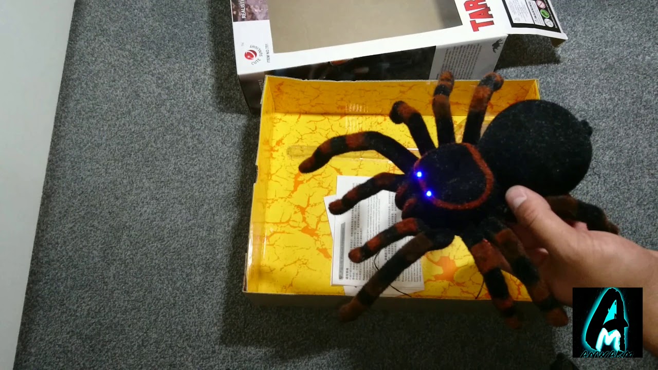 NEW Sealed Remote Radio Control Toy MINI SPIDER Tarantula on Wheels ZIPPY FUN! 