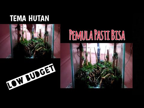 membuat-tema-hutan-aquascape-untuk-pemula-#part1-#membuat-hardscape
