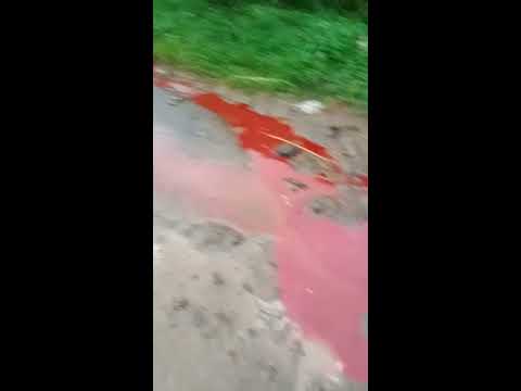 tawuran berdarah di jalan