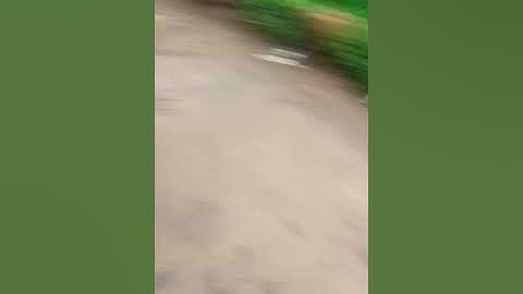 tawuran berdarah di jalan