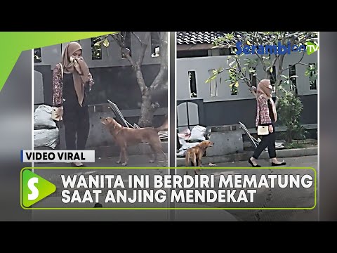 Video: Video Viral: Gadis Menangis Kerana Potongan Rambut Anjingnya