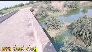 Doing Home Work Pakistani Village Life Hot Vlogs Indian Hot Vlogs