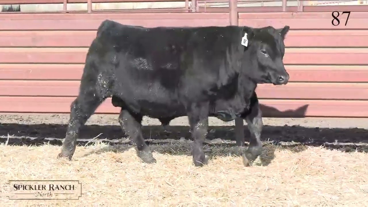 Spickler Ranch North Lot 87