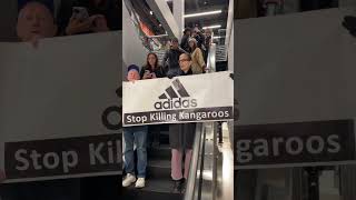 Kangaroos Are Not Shoes Protest At Adidas