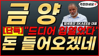 🔴금양, [공식입장] 