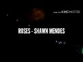 Roses - Shawn Mendes // Unplugged MTV (español)
