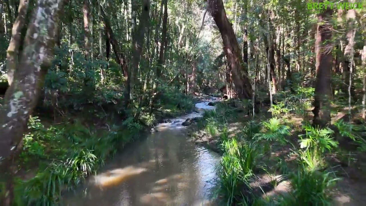 Brett Weick Property Presents | 884 Camp Creek Road, Lowanna