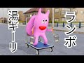 インターネットにないものを探しに行くぞ！の巻（日常回）