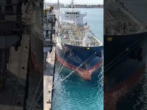 Sailing m/v Adriana Rose